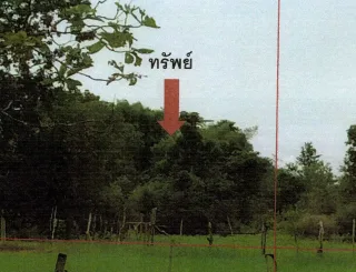 รูปทรัพย์ 1