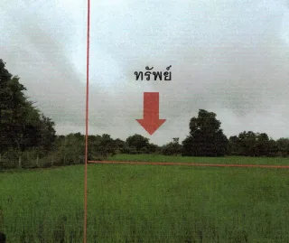 รูปทรัพย์ 2