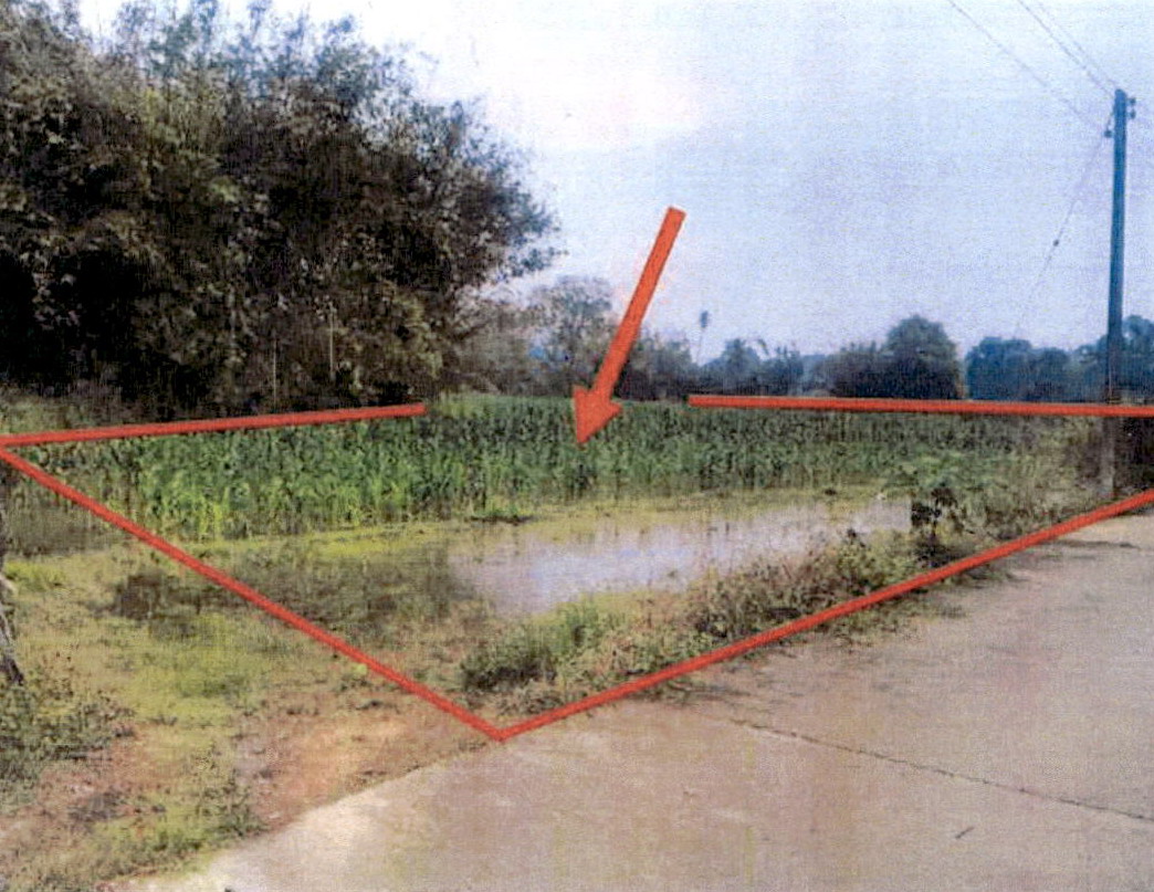 ขายทอดตลาด ที่ดินว่างเปล่า ต.บ้านอ้อน อ.งาว จ.ลำปาง
