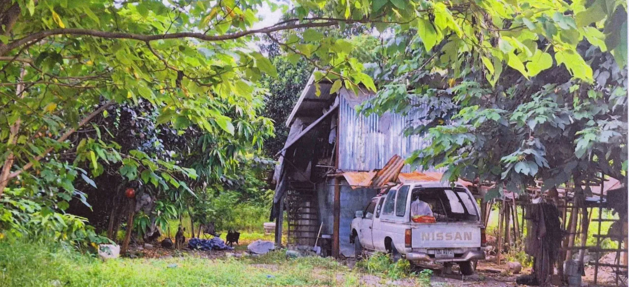 ขายทอดตลาด ที่ดินพร้อมสิ่งปลูกสร้าง ต.ช่องสาริกา อ.พัฒนานิคม จ.ลพบุรี