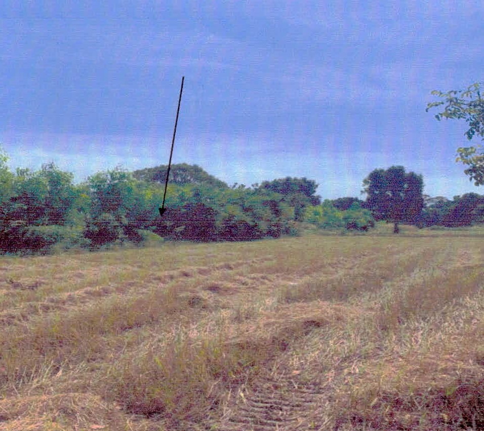 ขายทอดตลาด ที่ดินว่างเปล่า ต.หนองห้าง อ.อุทุมพรพิสัย จ.ศรีสะเกษ