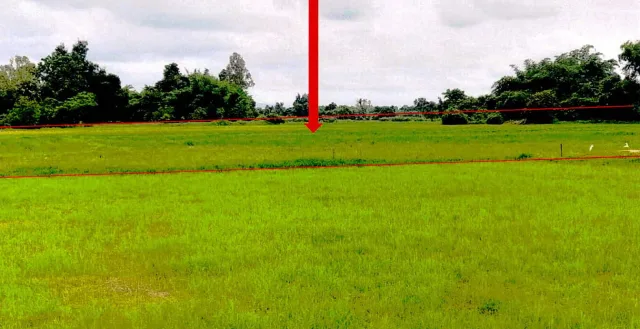ขายทอดตลาด ที่ดินว่างเปล่า ต.เวียงตาล อ.ห้างฉัตร จ.ลำปาง