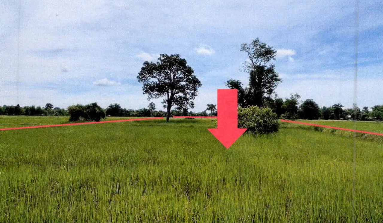 ขายทอดตลาด ที่ดินว่างเปล่า ต.จาน อ.กันทรารมย์ จ.ศรีสะเกษ