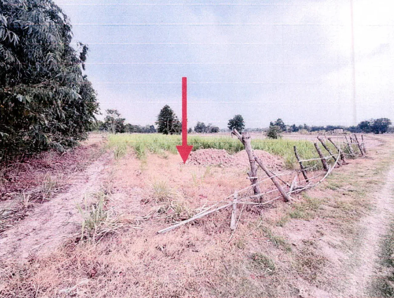 ขายทอดตลาด ที่ดินว่างเปล่า ต.ตูม อ.ปรางค์กู่ จ.ศรีสะเกษ