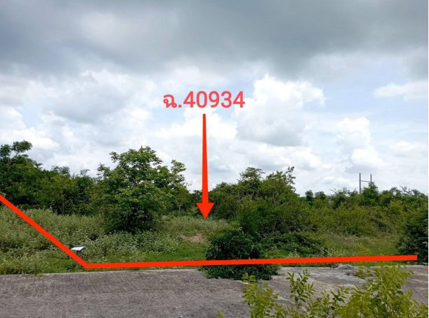 ขายทอดตลาด ที่ดินว่างเปล่า ต.คลองเกตุ อ.โคกสำโรง จ.ลพบุรี