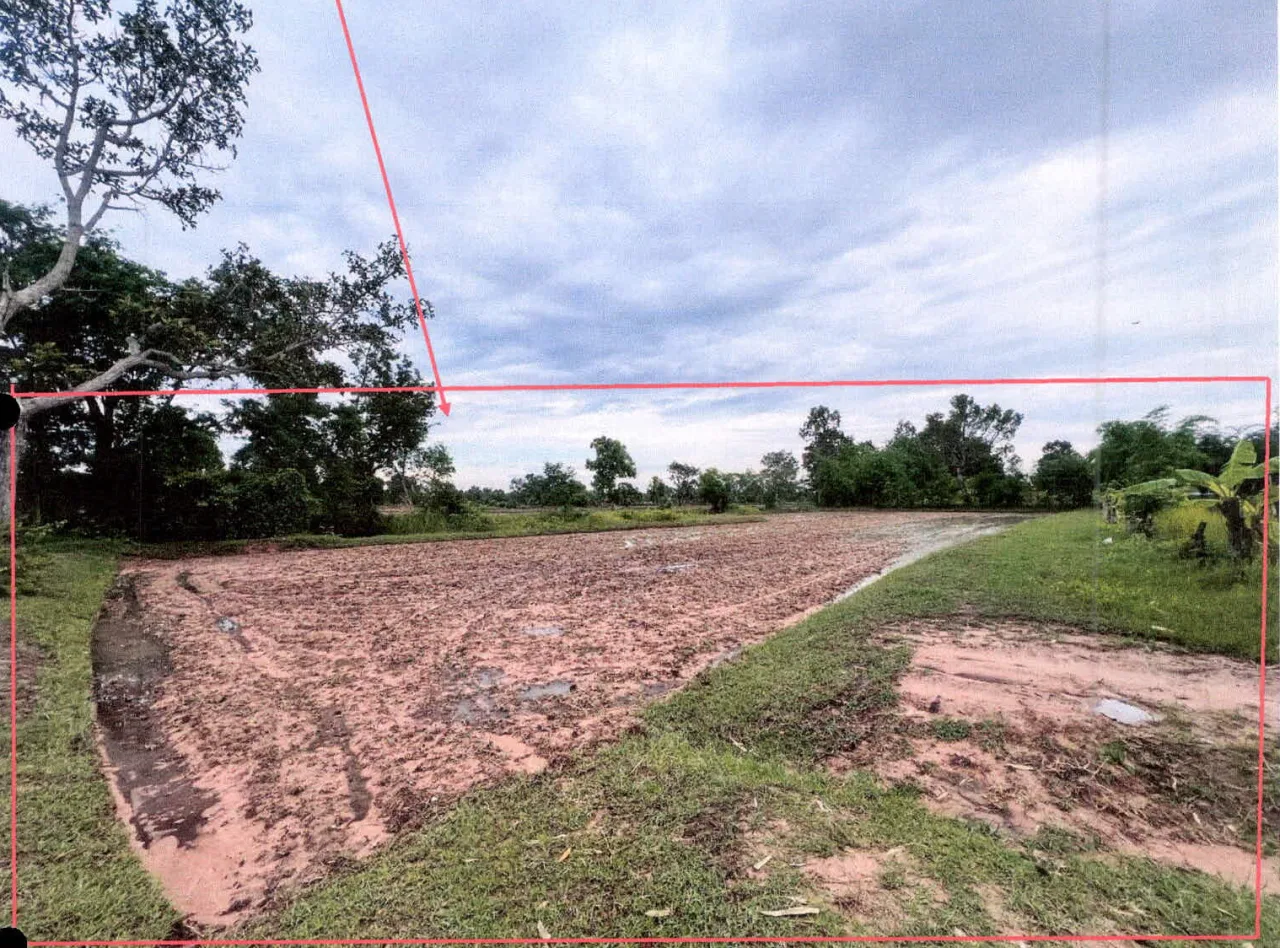 ขายทอดตลาด ที่ดินว่างเปล่า ต.โดด อ.โพธิ์ศรีสุวรรณ จ.ศรีสะเกษ