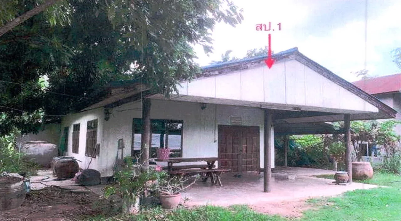 ขายทอดตลาด ที่ดินพร้อมสิ่งปลูกสร้าง ต.หนองใหญ่ อ.กิ่งอำเภอเมืองจันทร์ จ.ศรีสะเกษ