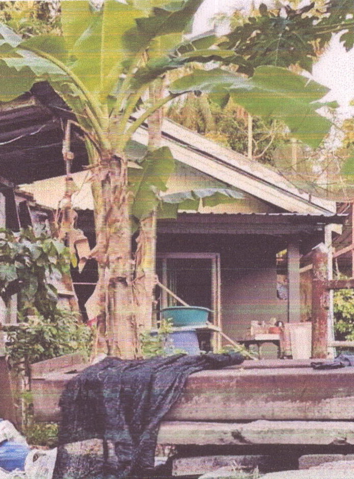 ขายทอดตลาด ที่ดินพร้อมสิ่งปลูกสร้าง ต.ทุ่งขมิ้น อ.นาหม่อม จ.สงขลา