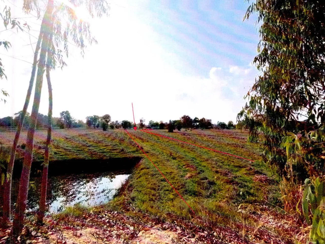 ขายทอดตลาด ที่ดินว่างเปล่า จ.ศรีสะเกษ