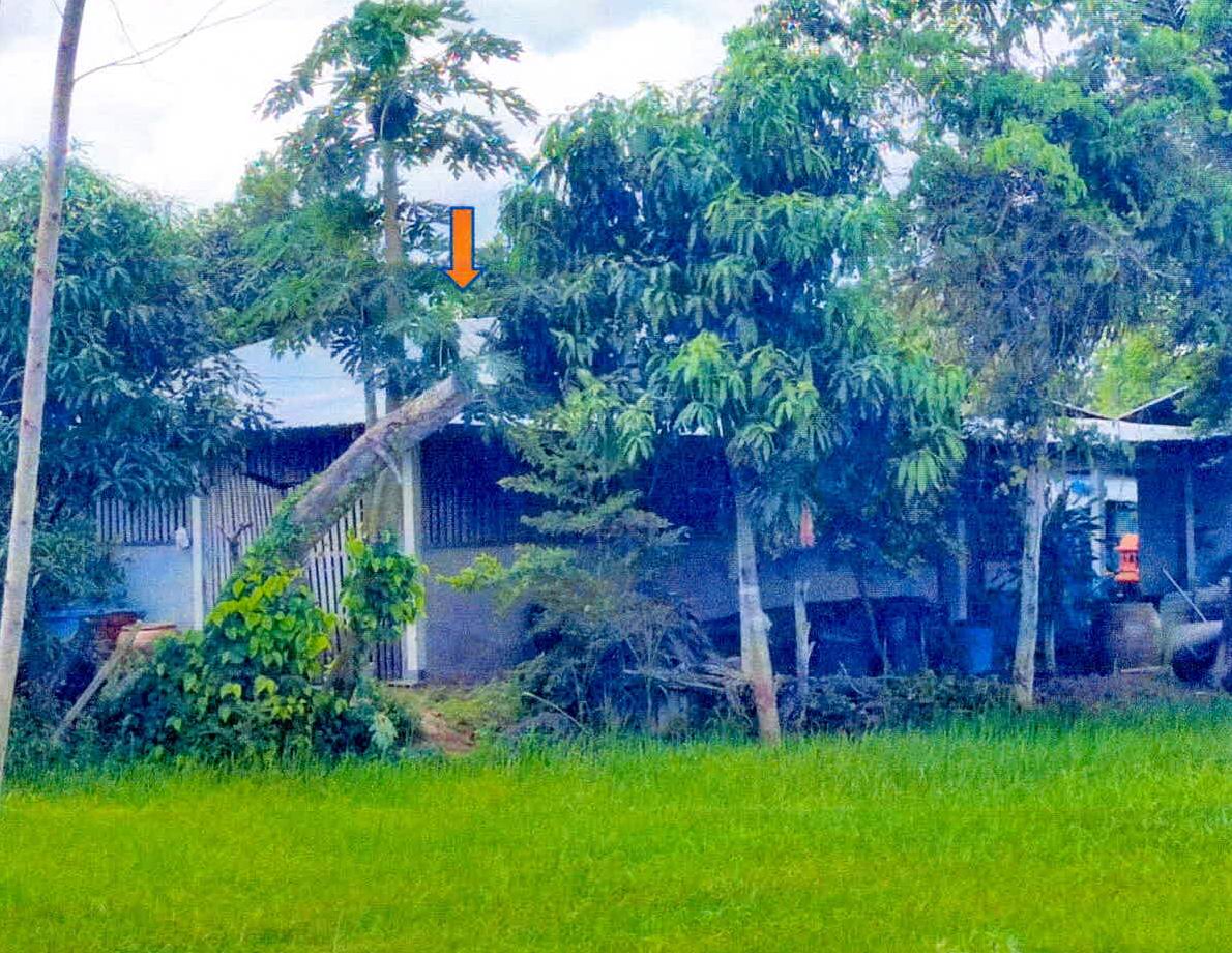 ขายทอดตลาด ที่ดินพร้อมสิ่งปลูกสร้าง ต.หนองใหญ่ อ.กิ่งอำเภอเมืองจันทร์ จ.ศรีสะเกษ