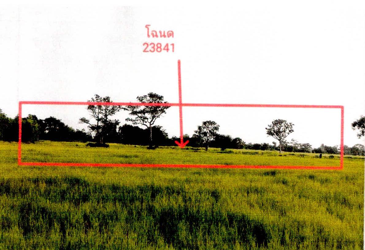 ขายทอดตลาด ที่ดินว่างเปล่า ต.บึงบอน อ.ยางชุมน้อย จ.ศรีสะเกษ