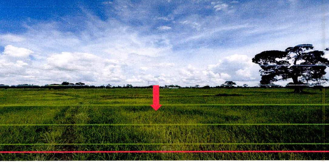 ขายทอดตลาด ที่ดินว่างเปล่า ต.สร้างปี่ อ.ราษีไศล จ.ศรีสะเกษ