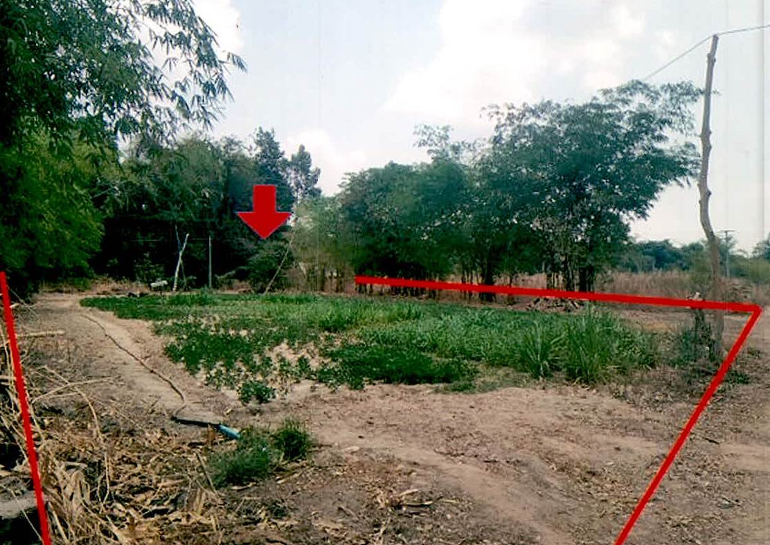 ขายทอดตลาด ที่ดินว่างเปล่า ต.หนองแวง อ.กันทรารมย์ จ.ศรีสะเกษ