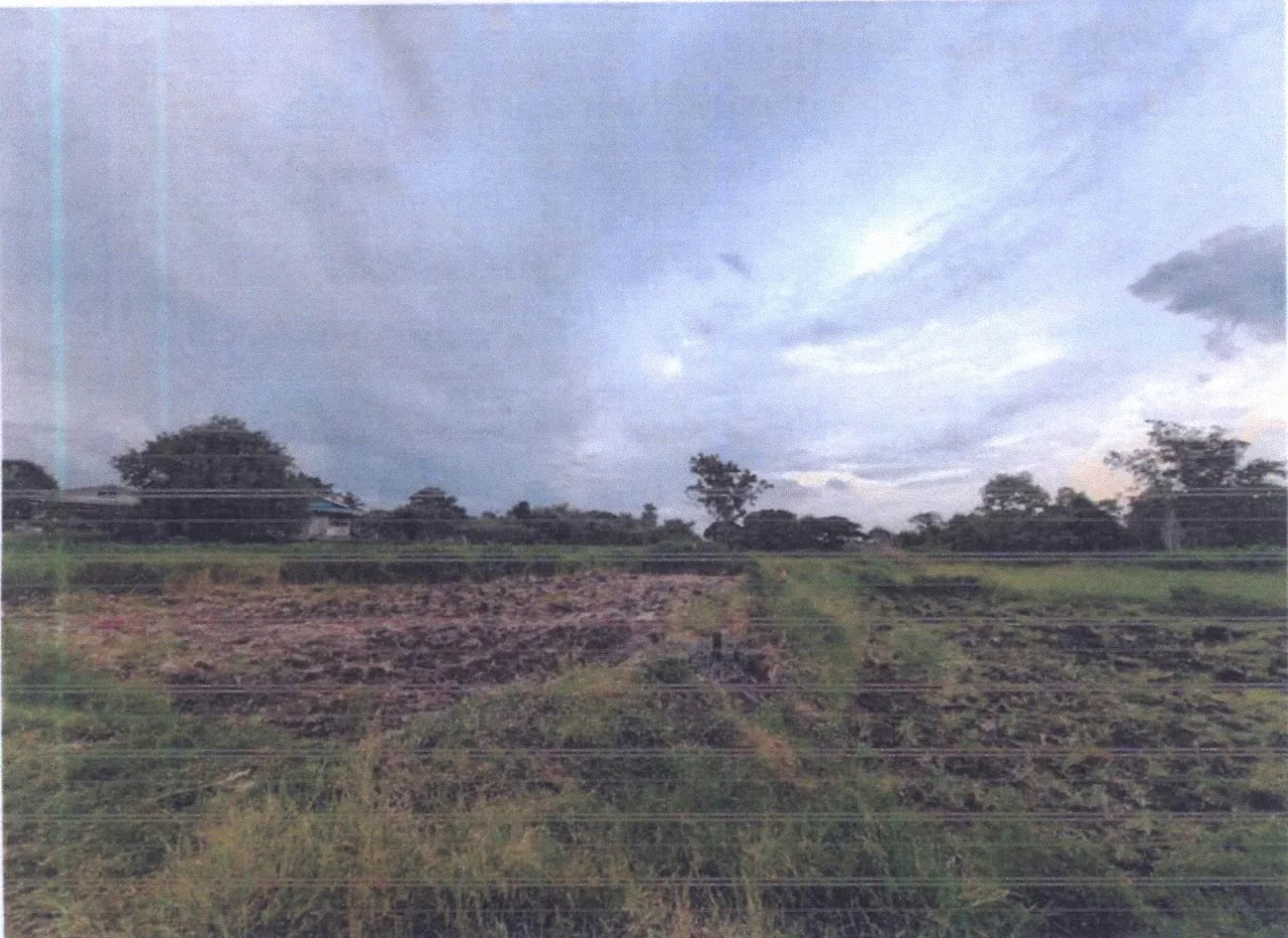 ขายทอดตลาด ที่ดินว่างเปล่า ต.เพนียด อ.โคกสำโรง จ.ลพบุรี