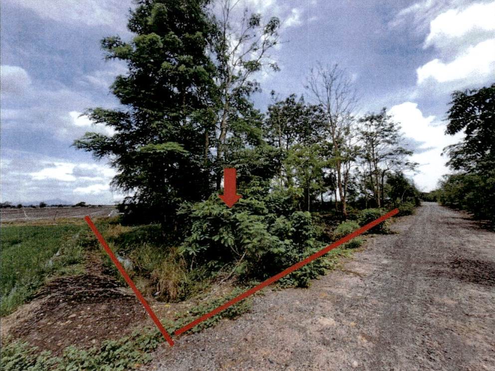 ขายทอดตลาด ที่ดินว่างเปล่า ต.โคกลำพาน อ.เมืองลพบุรี จ.ลพบุรี