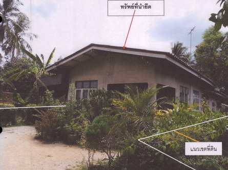 ขายทอดตลาด ที่ดินพร้อมสิ่งปลูกสร้าง ต.ทุ่งหวัง อ.เมืองสงขลา จ.สงขลา