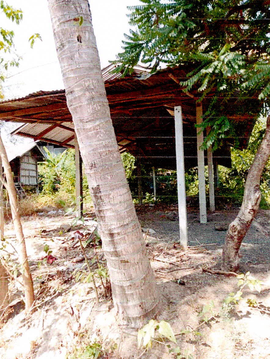 ขายทอดตลาด ที่ดินพร้อมสิ่งปลูกสร้าง ต.จิกสังข์ทอง อ.ราษีไศล จ.ศรีสะเกษ