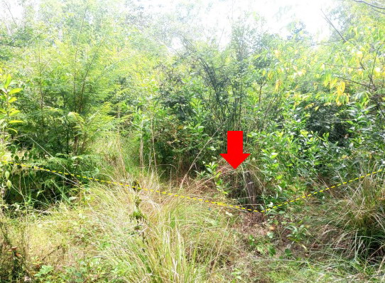 ขายทอดตลาด ที่ดินว่างเปล่า ต.โพธิ์ อ.เมืองศรีสะเกษ จ.ศรีสะเกษ