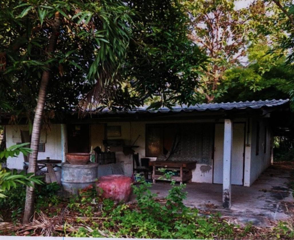 ขายทอดตลาด ที่ดินพร้อมสิ่งปลูกสร้าง ต.พัฒนานิคม อ.พัฒนานิคม จ.ลพบุรี