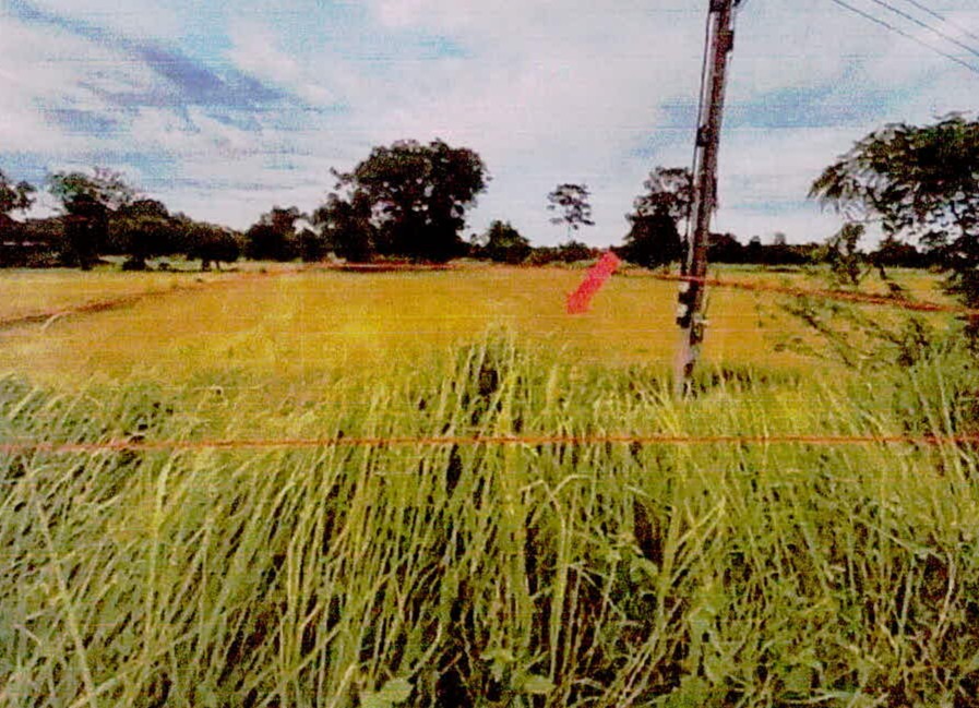ขายทอดตลาด ที่ดินว่างเปล่า จ.ศรีสะเกษ