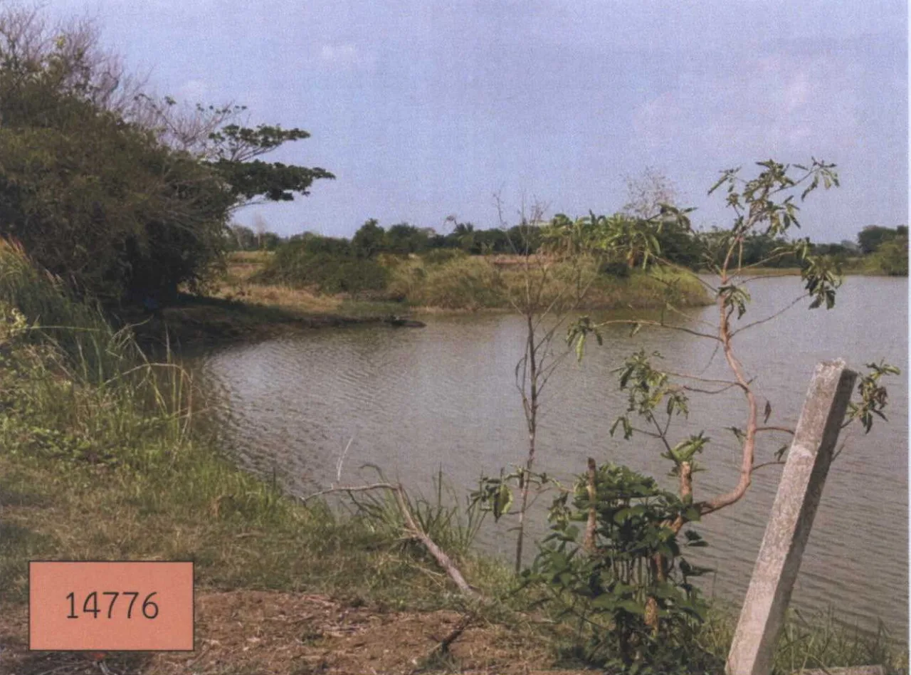 ขายทอดตลาด ที่ดินว่างเปล่า ต.กกโก อ.เมืองลพบุรี จ.ลพบุรี
