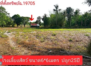 รูปทรัพย์ 2
