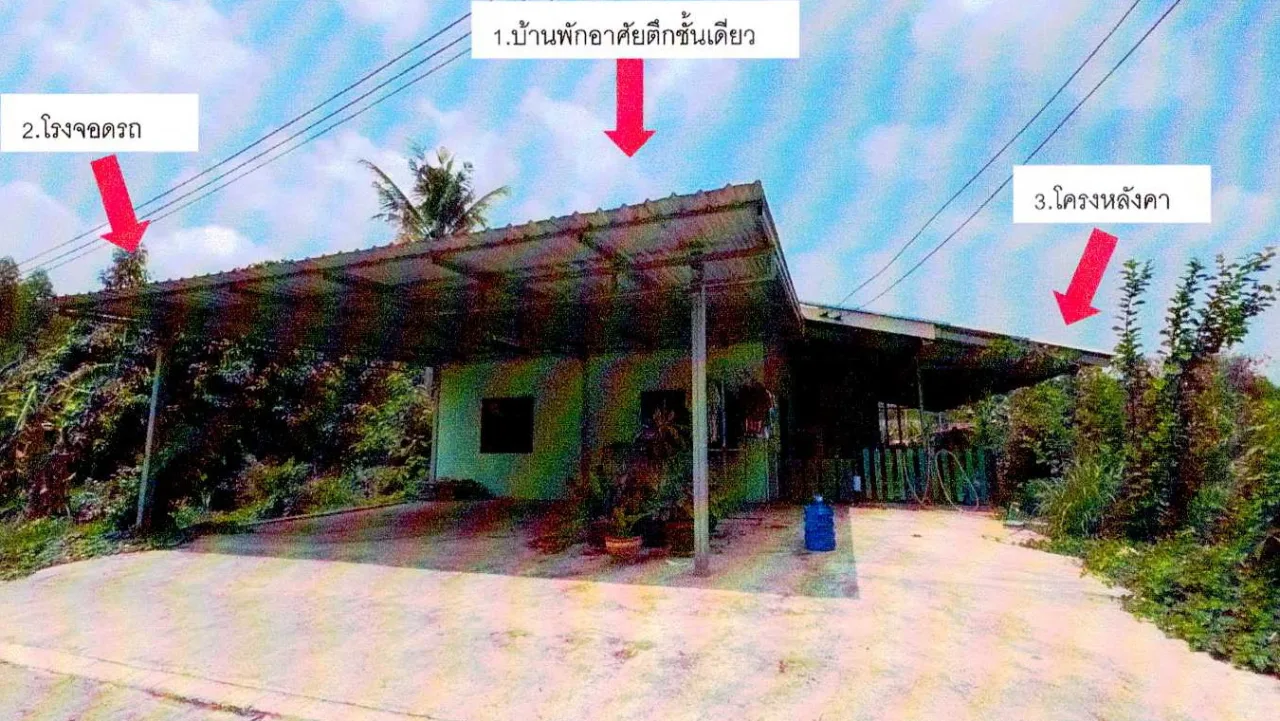 ขายทอดตลาด ที่ดินพร้อมสิ่งปลูกสร้าง ต.หนองปรือ อ.พนัสนิคม จ.ชลบุรี