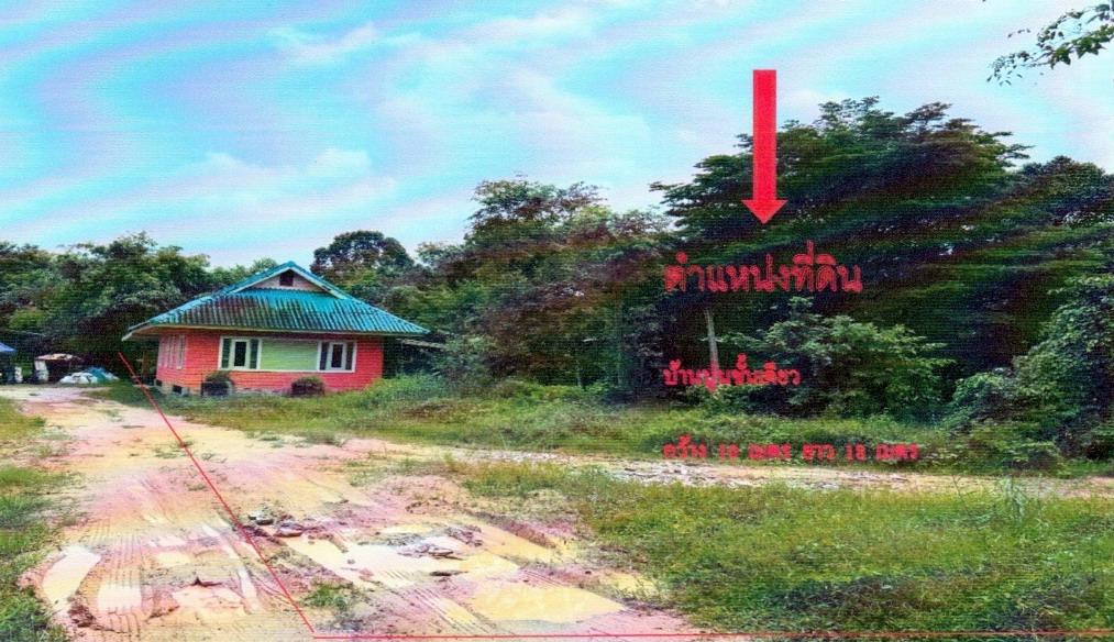 ขายทอดตลาด ที่ดินพร้อมสิ่งปลูกสร้าง ต.เชิงเนิน อ.เมืองระยอง จ.ระยอง