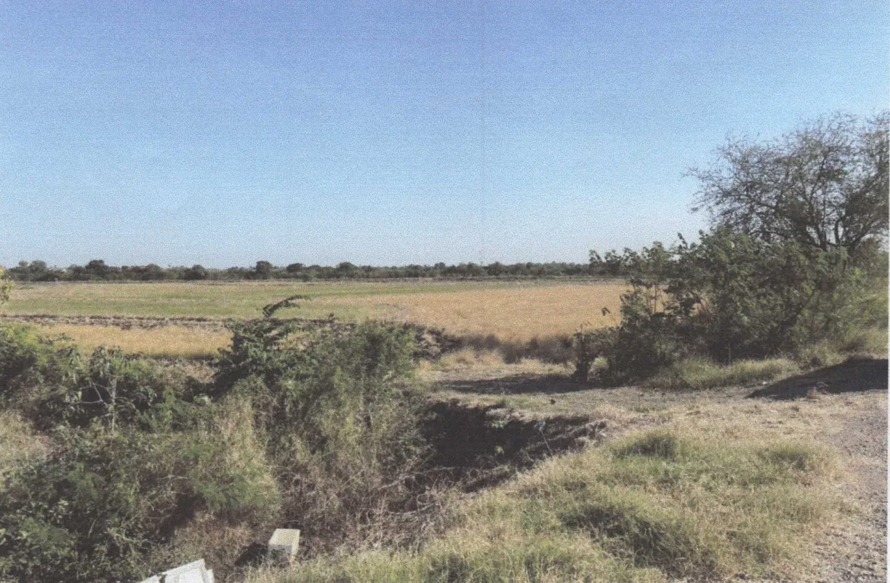 ขายทอดตลาด ที่ดินว่างเปล่า ต.(ถนนใหญ่)ทะเลชุบศร อ.เมืองลพบุรี จ.ลพบุรี