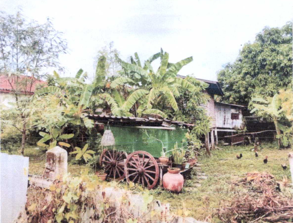 ขายทอดตลาด ที่ดินพร้อมสิ่งปลูกสร้าง ต.โคกสำโรง อ.โคกสำโรง จ.ลพบุรี