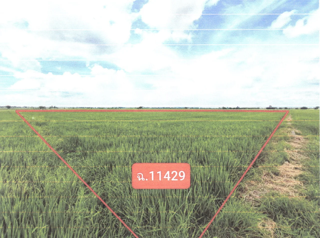 ขายทอดตลาด ที่ดินว่างเปล่า ต.บ้านเบิก อ.ท่าวุ้ง จ.ลพบุรี