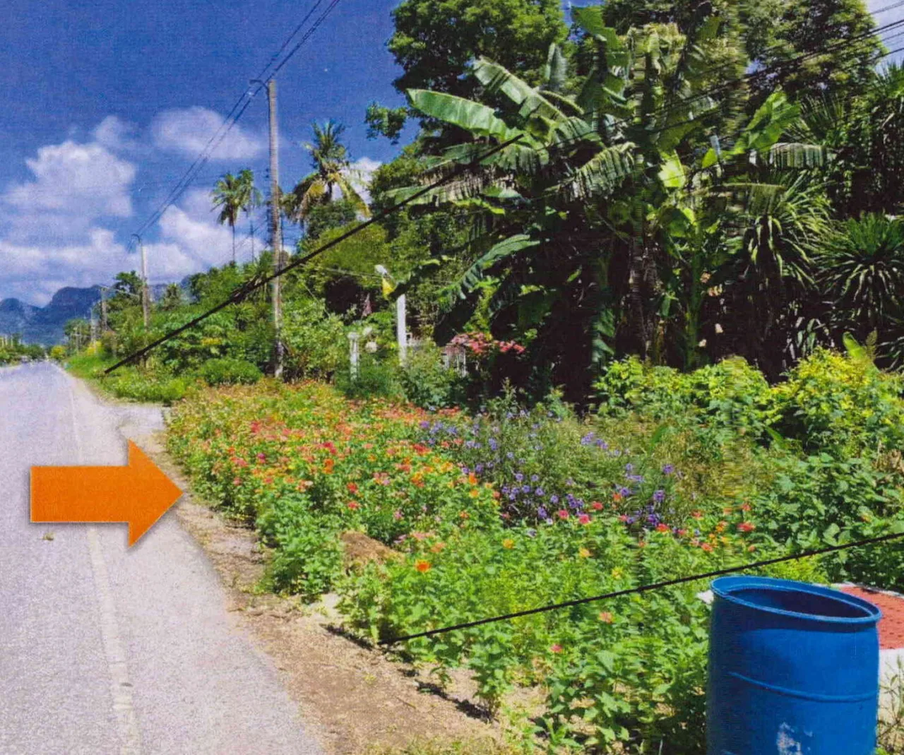 ขายทอดตลาด ที่ดินว่างเปล่า ต.นิคมสร้างตนเอง อ.เมืองลพบุรี จ.ลพบุรี