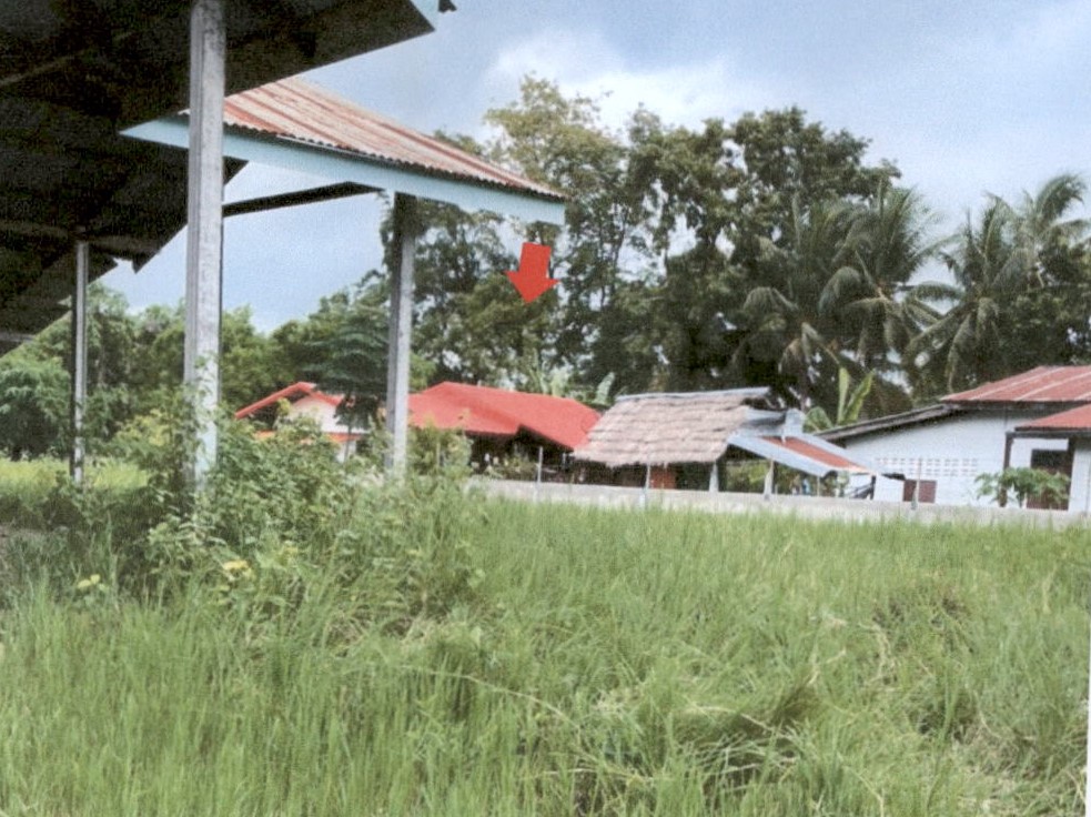 ขายทอดตลาด ที่ดินพร้อมสิ่งปลูกสร้าง ต.ลำปาว อ.เมืองกาฬสินธุ์ จ.กาฬสินธุ์
