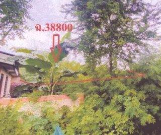 รูปทรัพย์ 1
