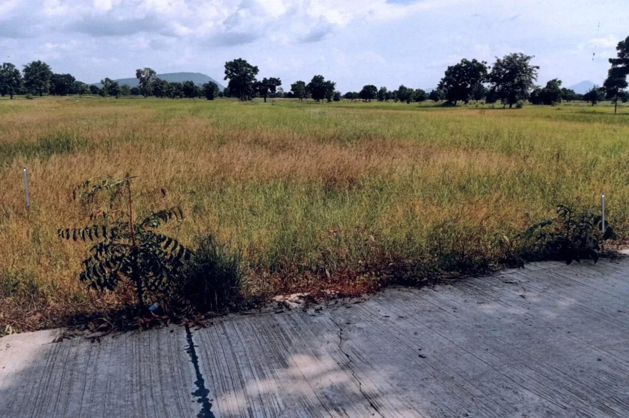 ขายทอดตลาด ที่ดินว่างเปล่า ต.สะแกราบ อ.โคกสำโรง จ.ลพบุรี