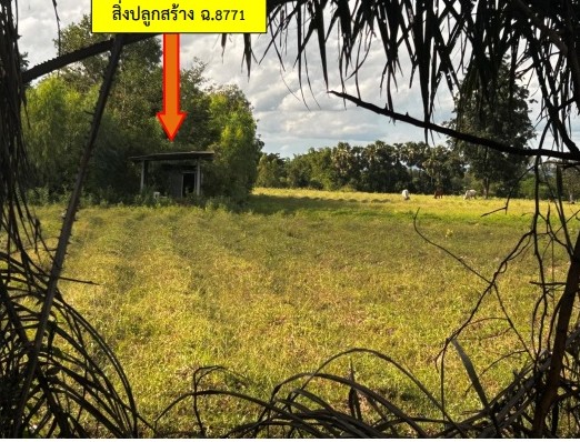 ขายทอดตลาด ที่ดินพร้อมสิ่งปลูกสร้าง ต.นามน อ.นามน จ.กาฬสินธุ์