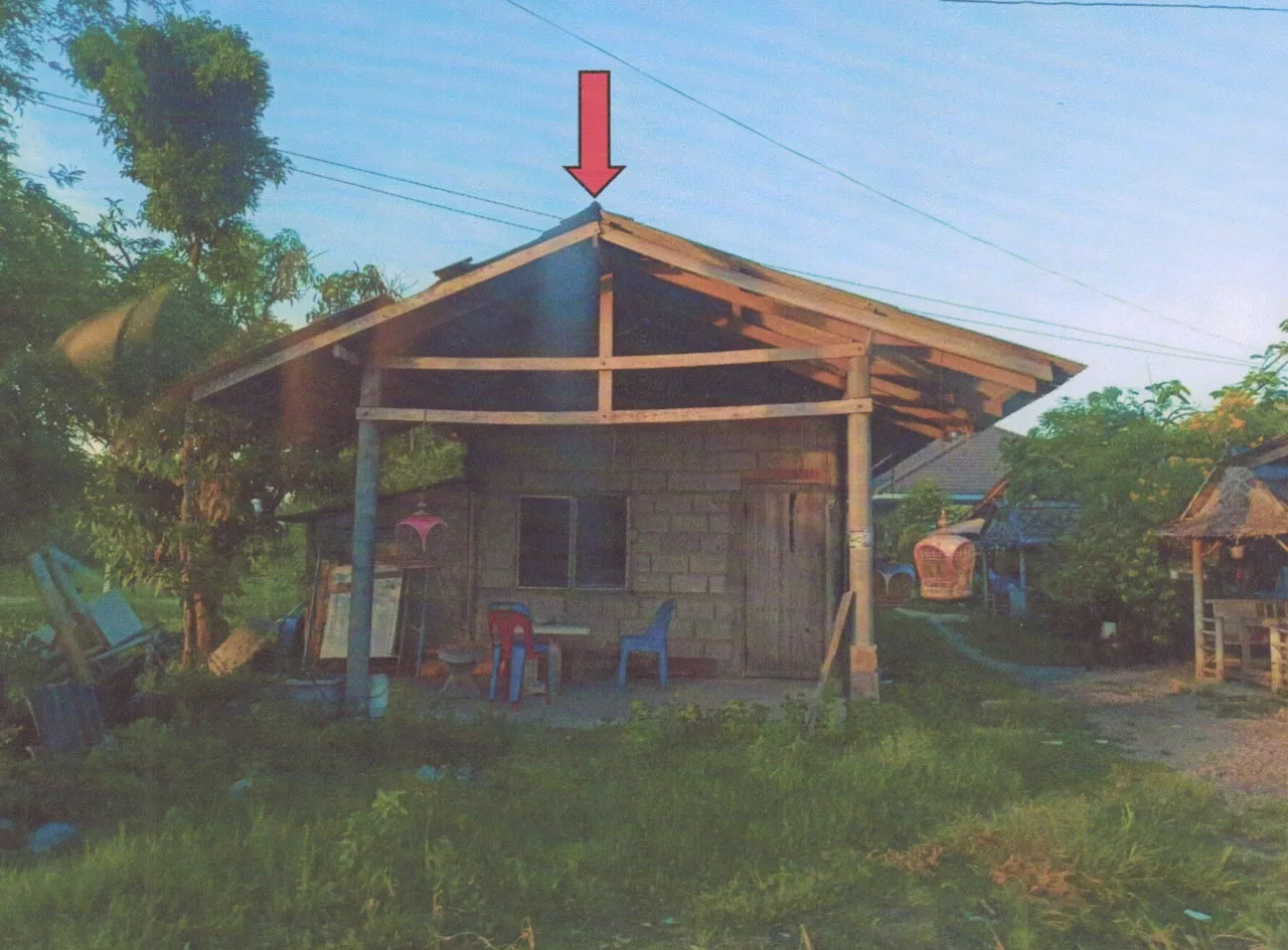 ขายทอดตลาด ที่ดินพร้อมสิ่งปลูกสร้าง ต.สทิงหม้อ อ.สิงหนคร จ.สงขลา