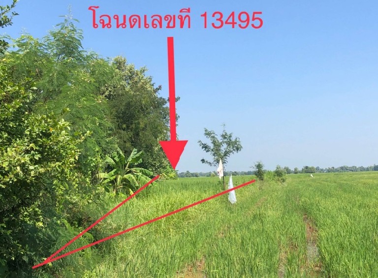 ขายทอดตลาด ที่ดินว่างเปล่า ต.ลำชี อ.ฆ้องชัย จ.กาฬสินธุ์