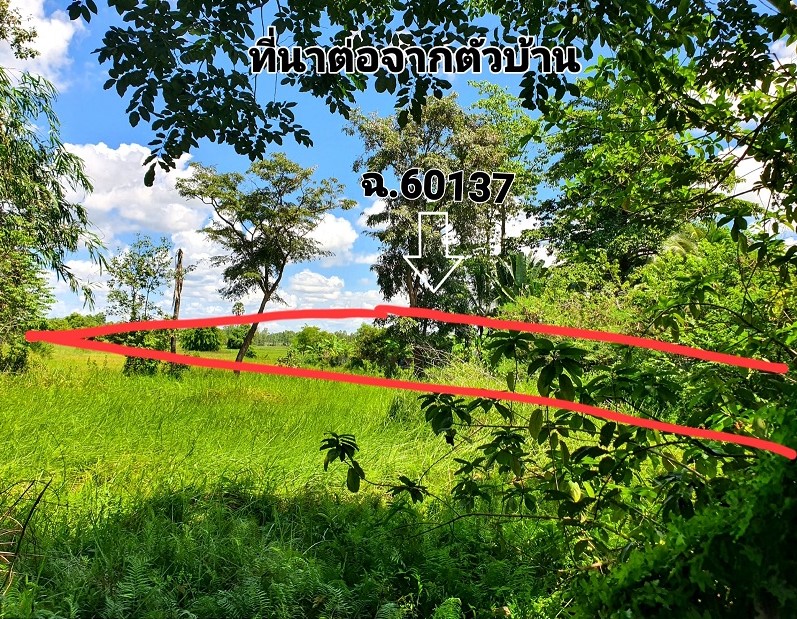 ขายทอดตลาด ที่ดินพร้อมสิ่งปลูกสร้าง ต.พรรณา อ.พรรณานิคม จ.สกลนคร