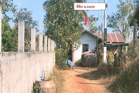 ขายทอดตลาด ที่ดินพร้อมสิ่งปลูกสร้าง ต.วาใหญ่ อ.อากาศอำนวย จ.สกลนคร