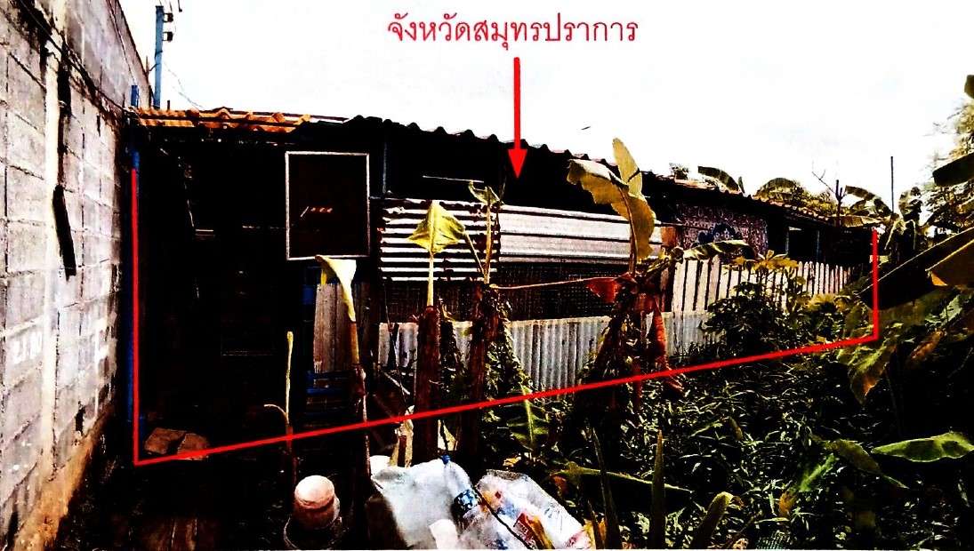 ขายทอดตลาด ที่ดินพร้อมสิ่งปลูกสร้าง ต.บางครุ อ.พระประแดง จ.สมุทรปราการ