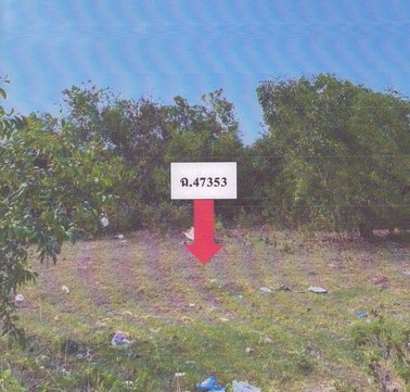 ขายทอดตลาด ที่ดินว่างเปล่า ต.ชิงโค อ.สิงหนคร จ.สงขลา