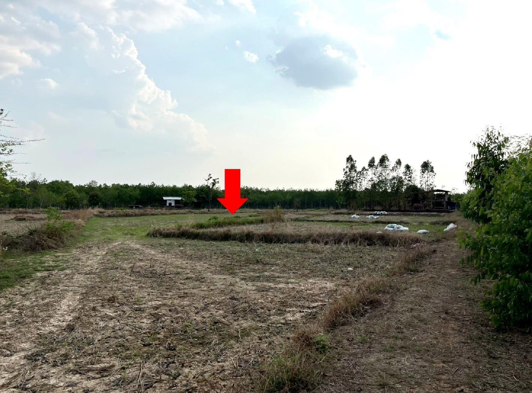 ขายทอดตลาด ที่ดินว่างเปล่า ต.เชิงชุม อ.พรรณานิคม จ.สกลนคร