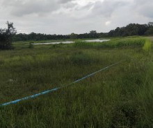 ขายทอดตลาด ที่ดินว่างเปล่า ต.ลำคลอง อ.เมืองกาฬสินธุ์ จ.กาฬสินธุ์