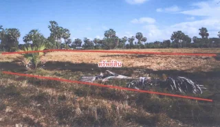 รูปทรัพย์ 1