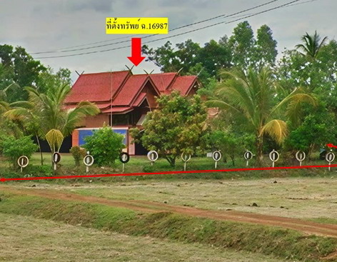ขายทอดตลาด ที่ดินพร้อมสิ่งปลูกสร้าง ต.เหล่าโพนค้อ อ.เมืองสกลนคร จ.สกลนคร