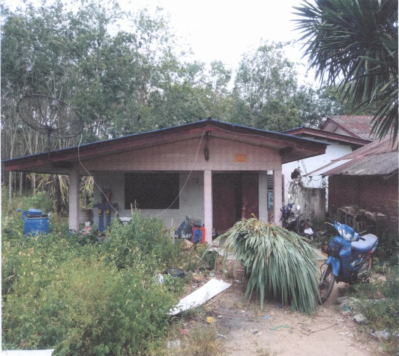 ขายทอดตลาด ที่ดินพร้อมสิ่งปลูกสร้าง ต.ท่าชะมวง อ.รัตภูมิ จ.สงขลา