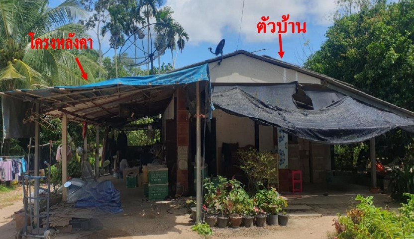 ขายทอดตลาด ที่ดินพร้อมสิ่งปลูกสร้าง ต.สำนักท้อน อ.บ้านฉาง จ.ระยอง