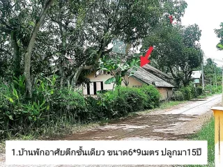 รูปทรัพย์ 1