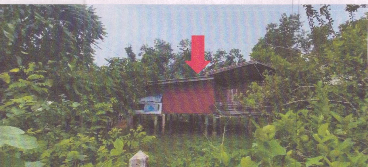 ขายทอดตลาด ที่ดินพร้อมสิ่งปลูกสร้าง ต.ตะเครียะ อ.ระโนด จ.สงขลา